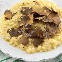 Truffle Mushroom Risotto 